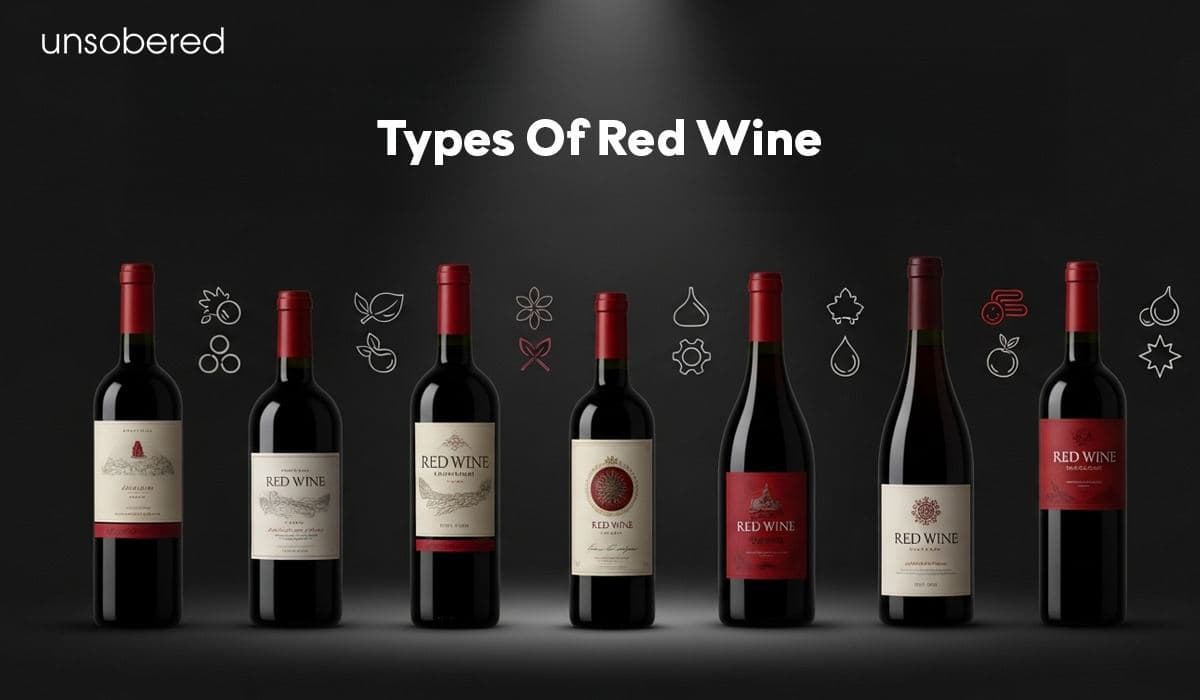 Top 7 Different Types of Red Wine & Their Unique Flavor Profiles 