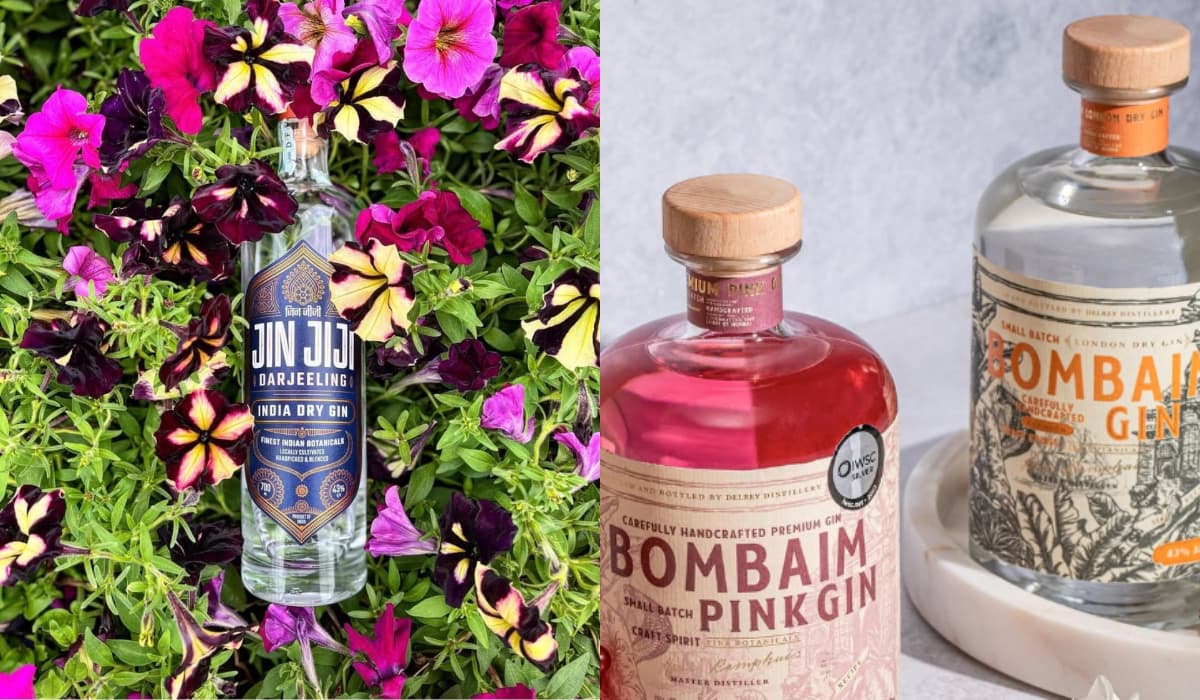 Best Gin Brands in India with Price List: Top Picks for 2025