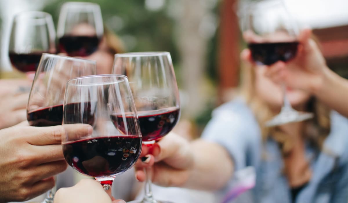 Which Sula Wine Is Best for Beginners? A Complete Buying Guide