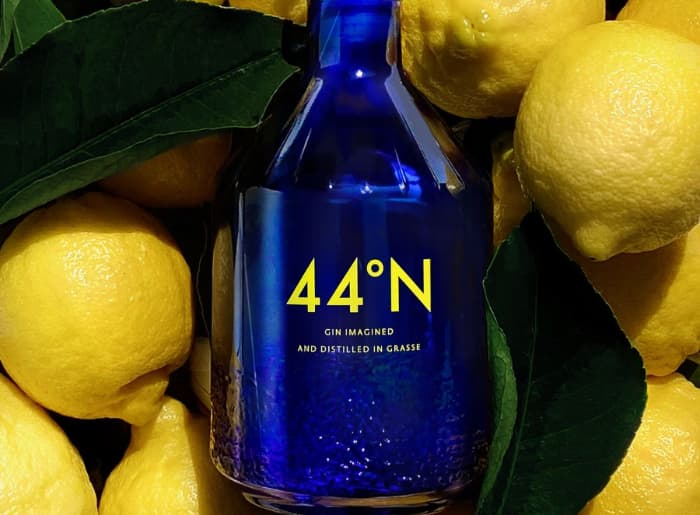 most expensive gin brands in India