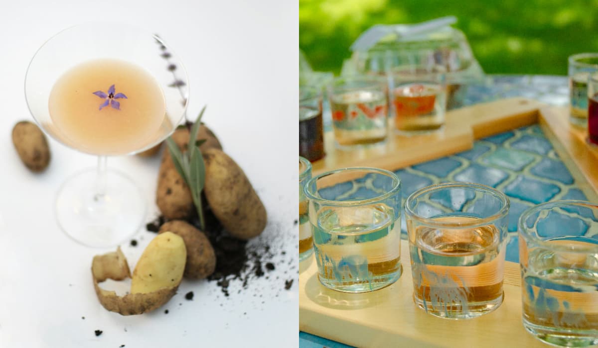 Potato vs Grain Vodka: Which One Is Better?