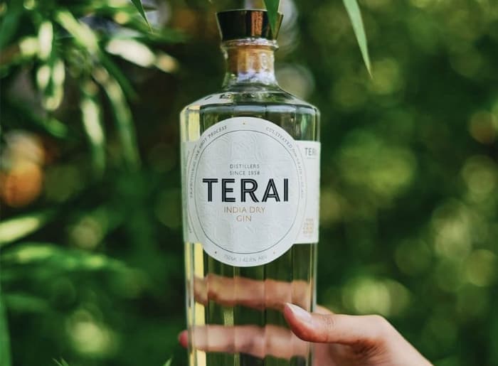 Premium gin bottles with juniper berries, citrus peel and botanical ingredients