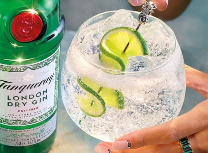 Premium gin bottles with juniper berries, citrus peel and botanical ingredients