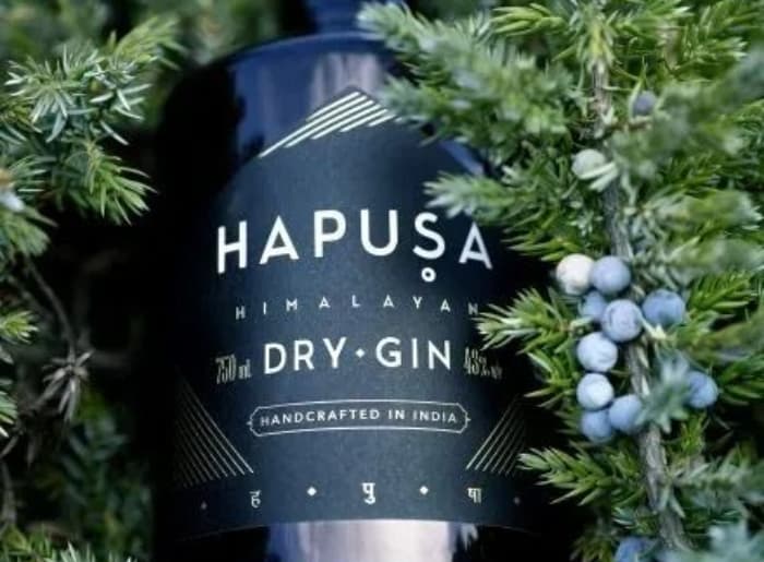 Premium gin bottles with juniper berries, citrus peel and botanical ingredients