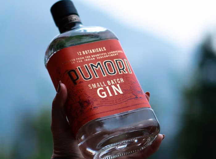 Premium gin bottles with juniper berries, citrus peel and botanical ingredients