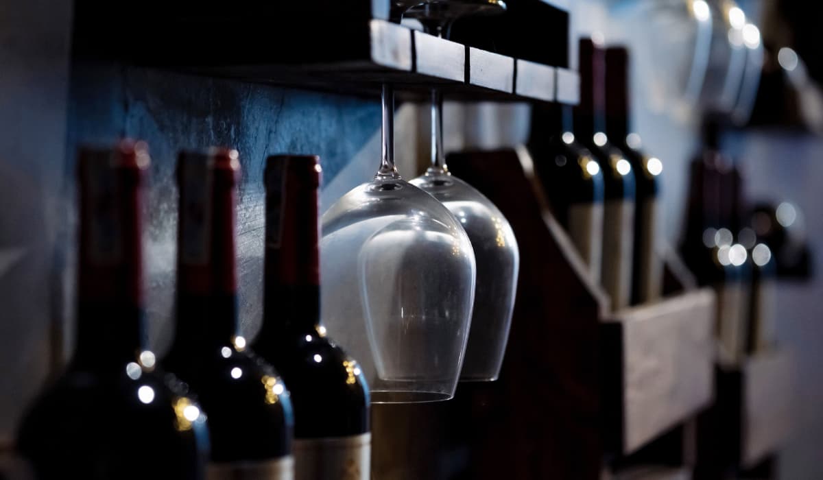 Wine Glass Guide: Which Glass Should You Use?